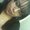 Photo of Josey M.