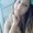 Photo of Gabriella U.