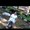 Photo of Jyothi T.