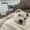 Photo of Fred S.