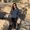 Photo of Araceli R.