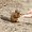 Photo of Qype User (Geld…)