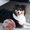 Photo of Rose S.