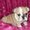 Photo of Emmalynn T.