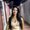 Photo of Aindrea G.