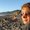 Photo of Shannon L.