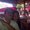 Photo of Ivette P.