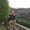 Photo of India P.