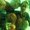Photo of Qype User (nocahc…)