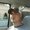 Photo of Chris P.