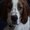 Photo of Bella D.