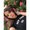 Photo of Jasmine Z.