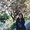 Photo of Fatima P.