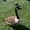 Photo of Qype User (Destal…)