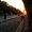 Photo of Sabreen M.