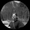 Photo of Mounti C.