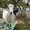 Photo of Lauraleigh H.