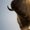Photo of A S.