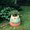 Photo of Lami L.