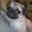 Photo of Mushu C.