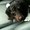 Photo of Sonia D.