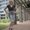 Photo of Lisa H.