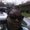 Photo of Renea S.