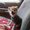 Photo of Dan M.