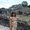 Photo of Perla P.