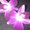 Photo of Katt R.