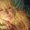 Photo of Susan M.