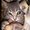 Photo of Asher D.