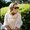 Photo of Katy R.