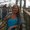 Photo of Amy A.