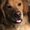 Photo of Kevin B.