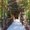 Photo of Danny M.