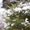 Photo of Maricarmen C.