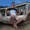 Photo of Thibaud R.