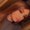 Photo of Antonia S.