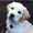 Photo of Qype User (Dingle…)