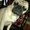Photo of Edith r.