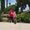 Photo of Melissa M.