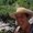 Photo of Roberto A.