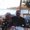 Photo of Becky C.