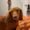 Photo of Anissa G.