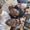 Photo of Sammy H.