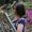 Photo of Anji L.