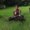 Photo of Nick S.