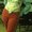 Photo of Rebecca M.