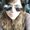 Photo of Janine J.